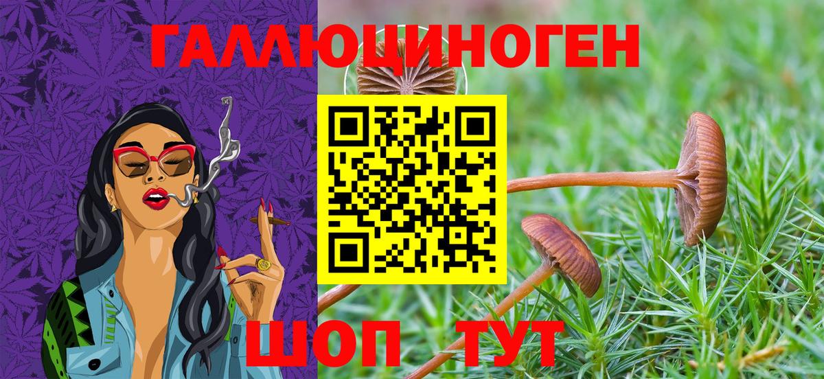 Галлюциногенные грибы Cubensis  Вход с VPN  Белая Калитва 